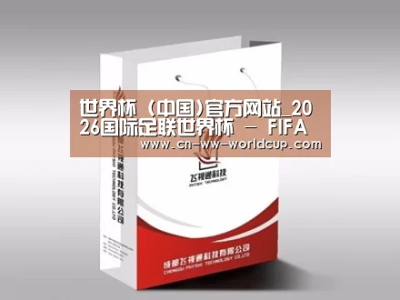 项目名称十三